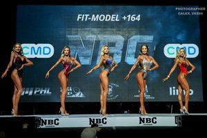 FIT-MODEL +164 1 раунд